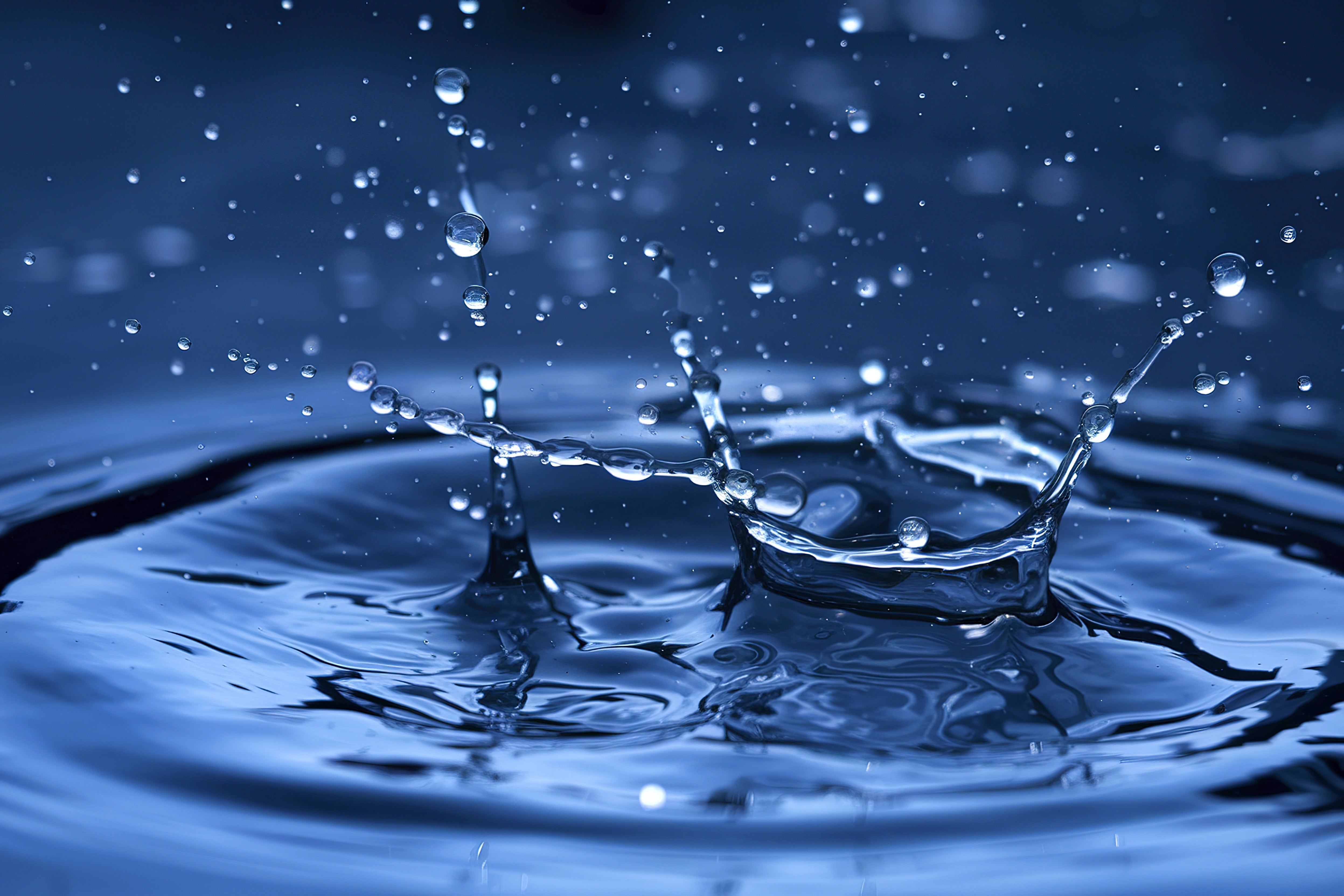 Lazuli Luminous Facial Oil Blue Tansy