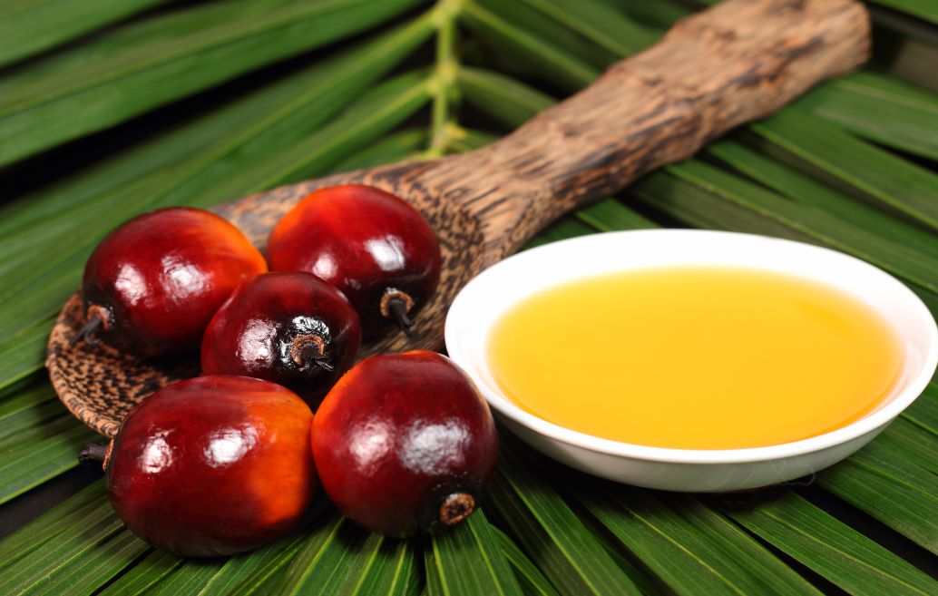 Palm Oil Perfection: The Beautiful Benefits of Sustainably Sourced Palm Oil in Soap